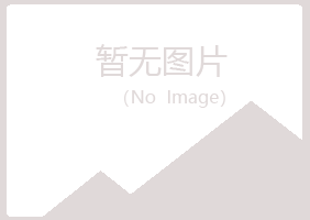 平凉崆峒白山咨询有限公司